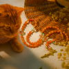 Orange Tabby Cat Blessing with Carnelian Beads Prayer Animal Rosary
