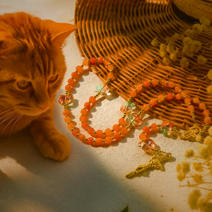 Orange Tabby Cat Blessing with Carnelian Beads Prayer Animal Rosary