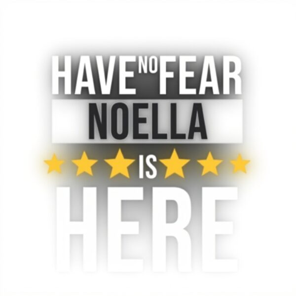 Noella Geschenkplaner Tagebuch Kalender Notizbuch